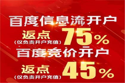 百度SEO优化公司案例详解：如何制定有效的推广计划